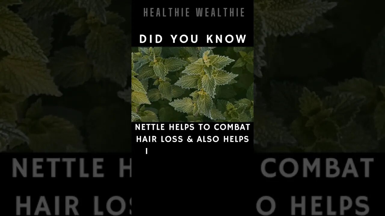 The Best Healing Herbs You Should Know || #health || #shorts || #herbs