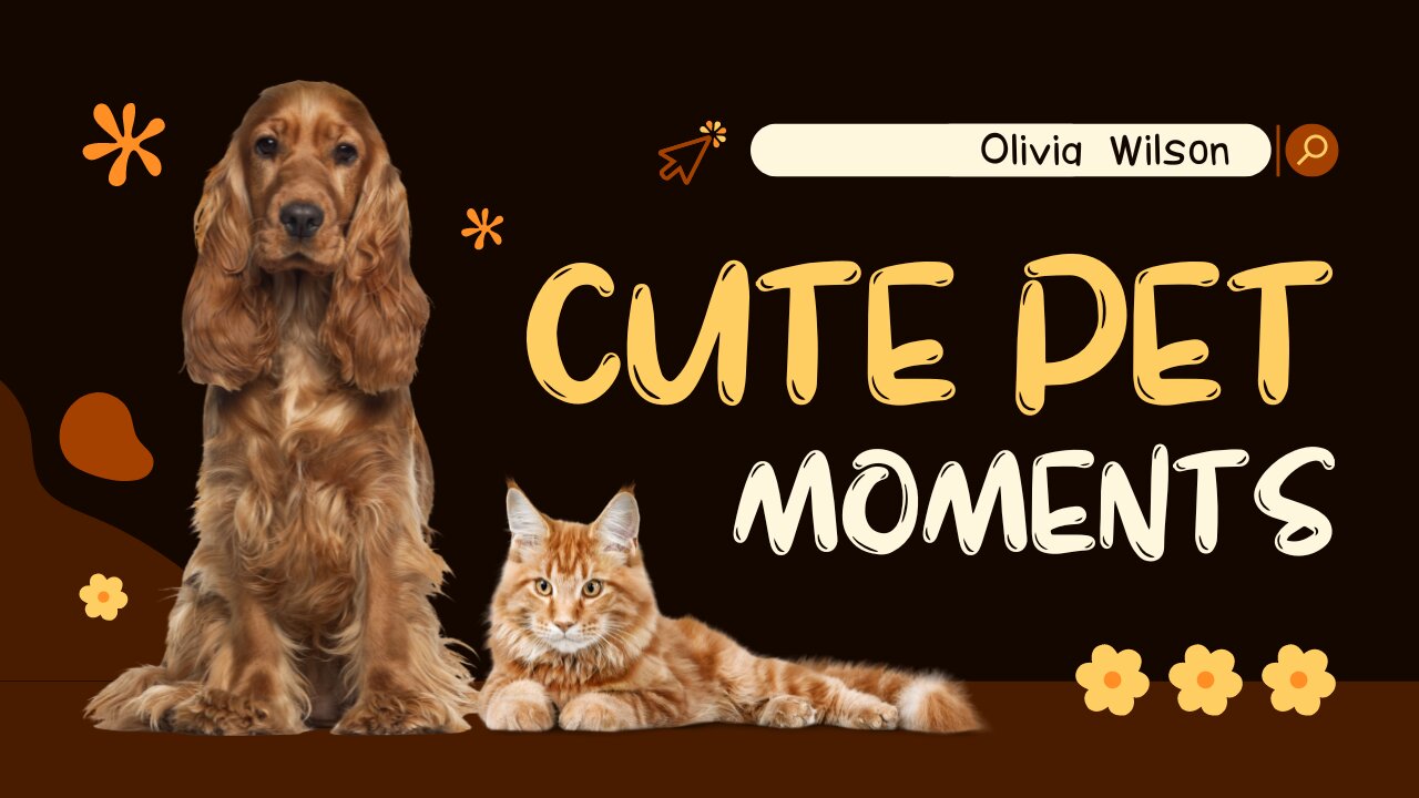 "Top Cutest Pet Moments That Will Melt Your Heart! πΎπ Don't Miss Out on the Cuteness Explosion!"
