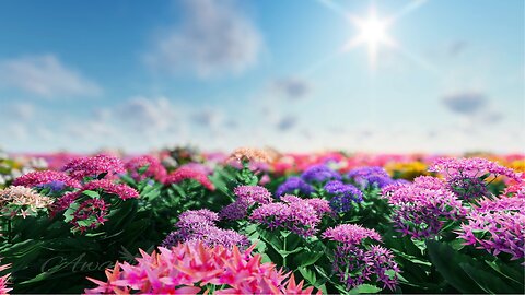 Meadow Birdsong + Soft Breeze - Relaxing Nature Sounds (5min ASMR Break 🌸) | Awayion