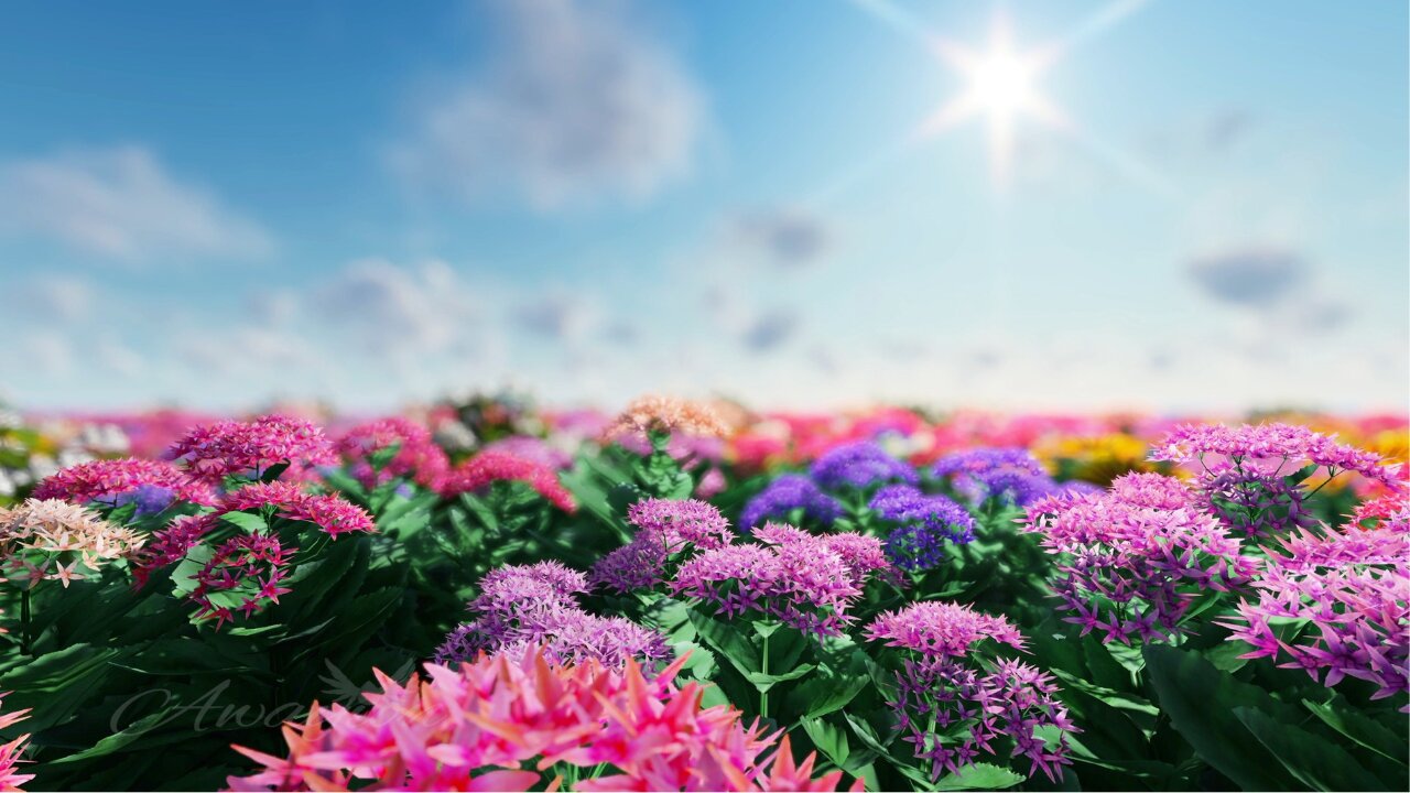 🌿 Meadow Birdsong & Soft Breeze: 5-Min ASMR Nature Bliss for Relaxation & Stress Relief 🌸 | Awayion