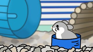Hamster Life