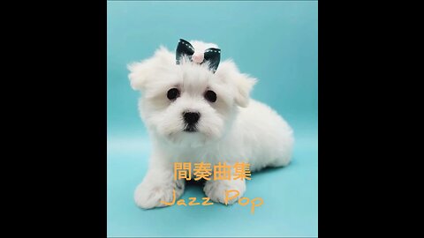 Shoryu Itazu's Interludes Jazz Pop