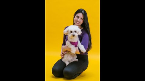 Dog video