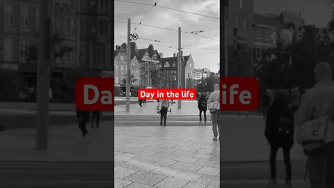 What a PROPERTY DEVELOPMENT student gets up to day to day #shorts #realestate #property