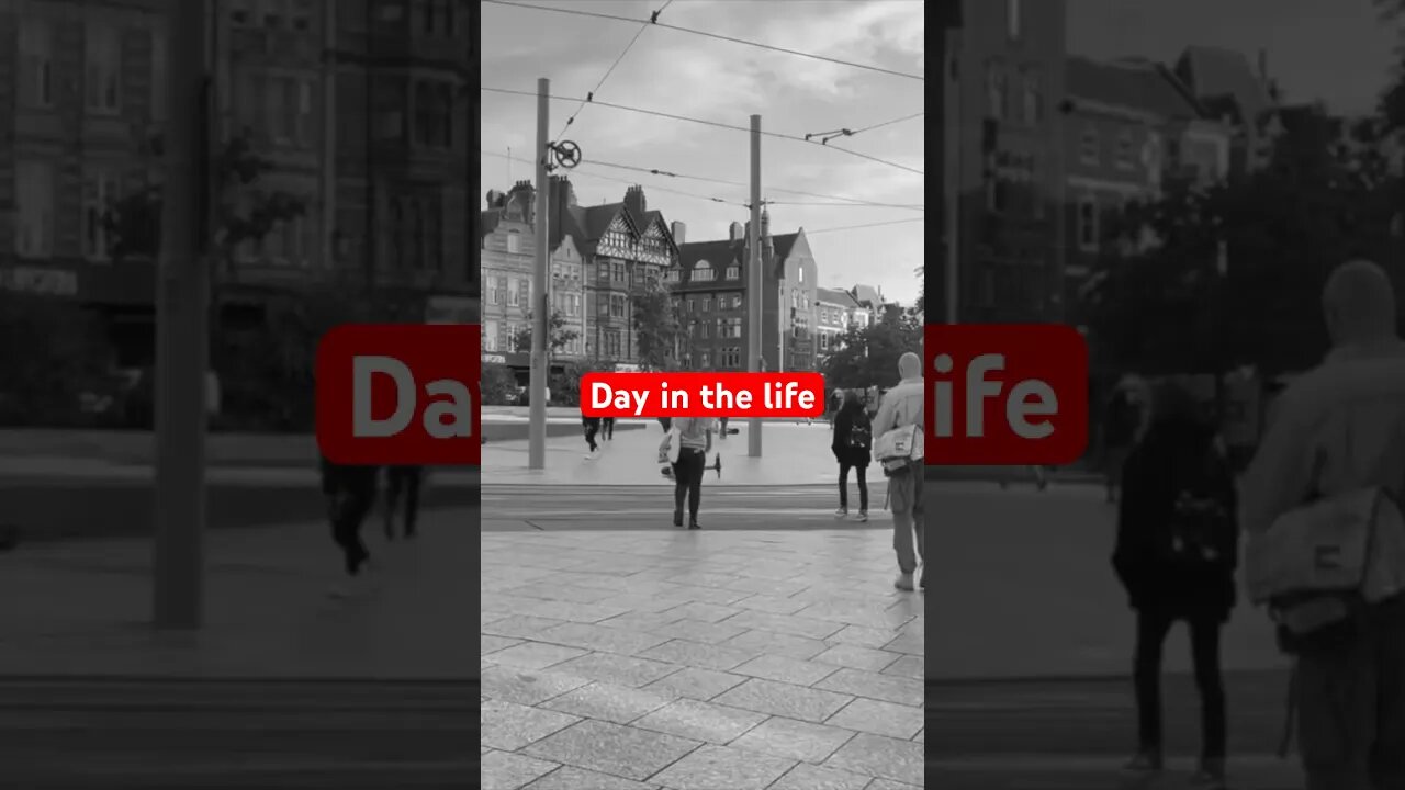 What a PROPERTY DEVELOPMENT student gets up to day to day #shorts #realestate #property