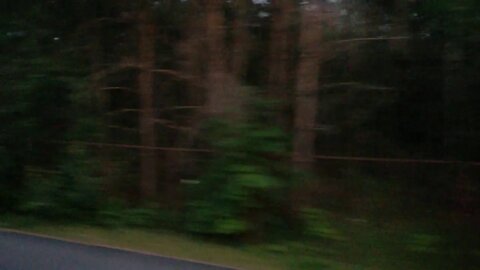WP 20190728 22 16 52 Pro