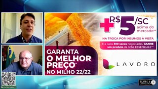 Milho com R$ 5,00 reais a mais nas lojas da Lavoro em MT e RO safra 22