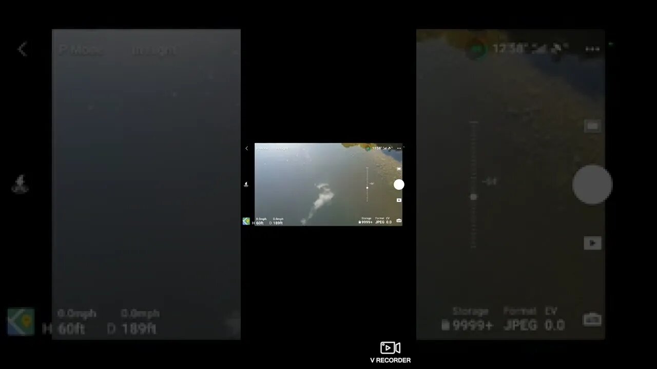 DJI Mini Se over Elder pt1