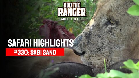 Safari Highlights #330: 06 - 08 March 2015 | Sabi Sand Nature Reserve | Latest Wildlife Sightings