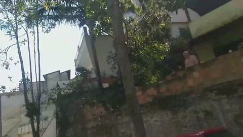 IMPRESSIONANTE, ACONTECEU DIANTE DE MINHA CÂMERA.