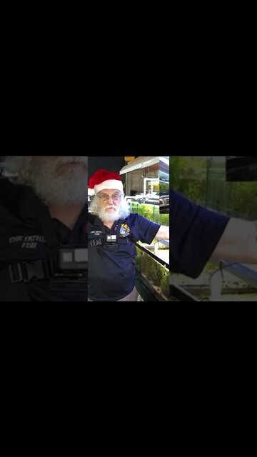 plants grow in sand / short