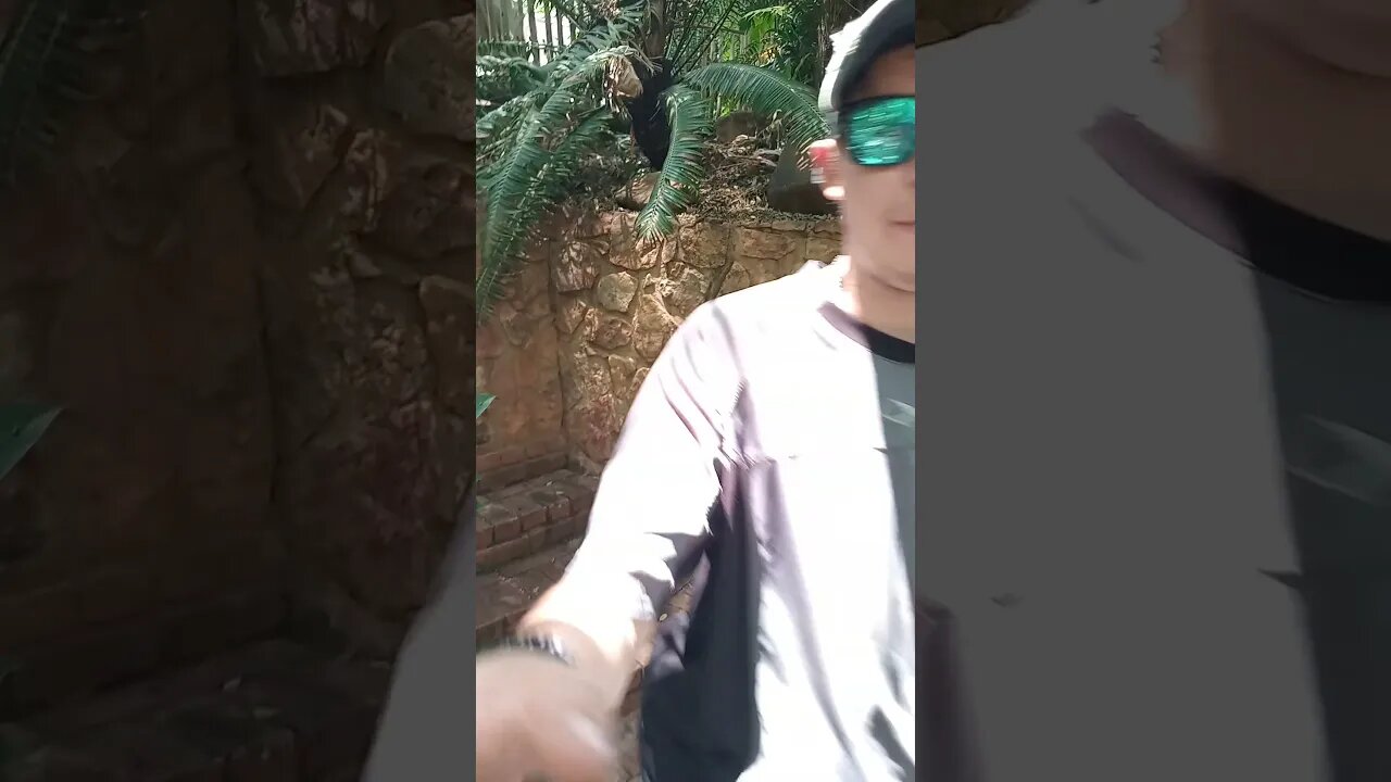 Fail attempt