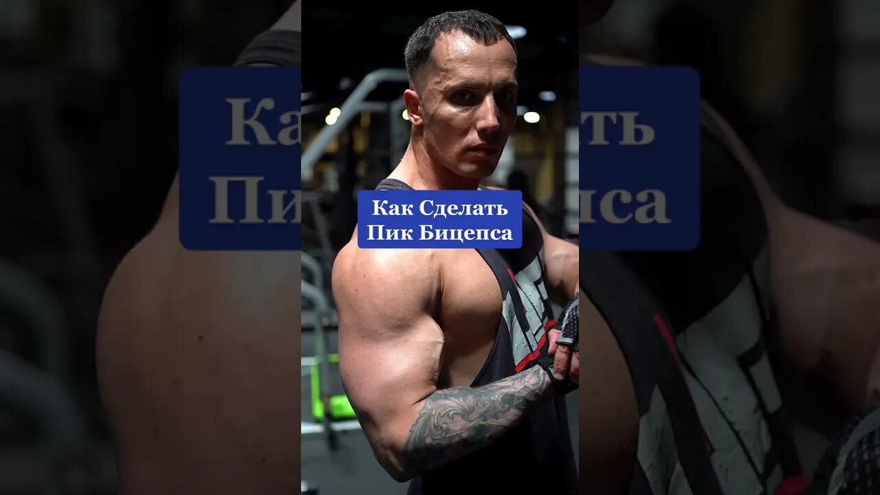 Workouts/Nutrition