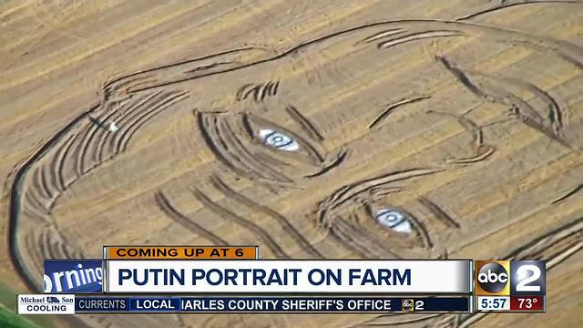 Italian farmer turns field into Putin portrait ahead of G20