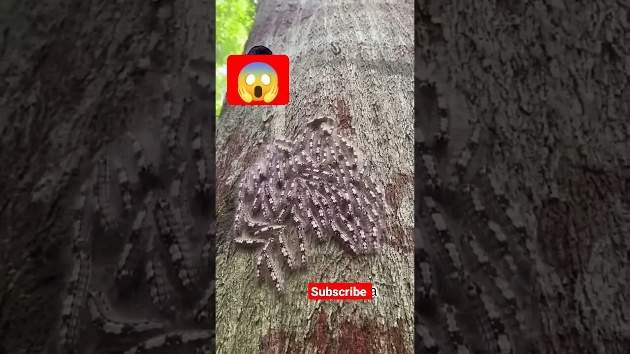 Monday 😱#shorts #shortsfeed