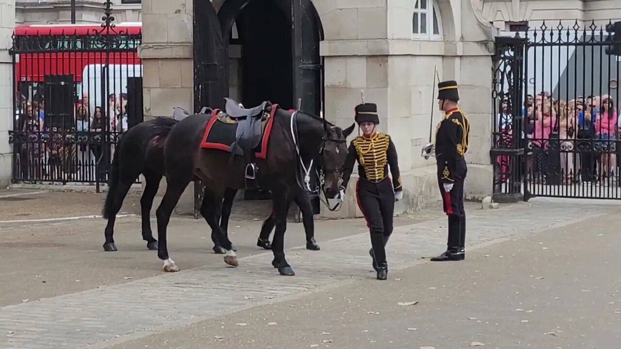 Taking the horses back to stable changing of the guards #horseguardsparade