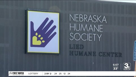 Nebraska Humane Society at capacity for dogs