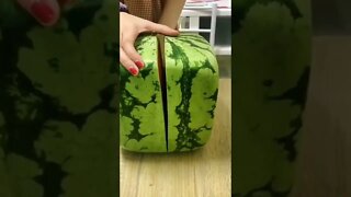 Melancia quadrada 😲😲😲