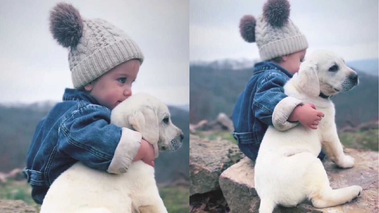 Cutest Video on the Internet