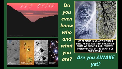 Are you AWAKE yet? 171