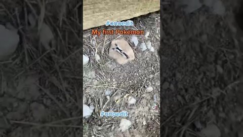 My first Pokémon Onoedit