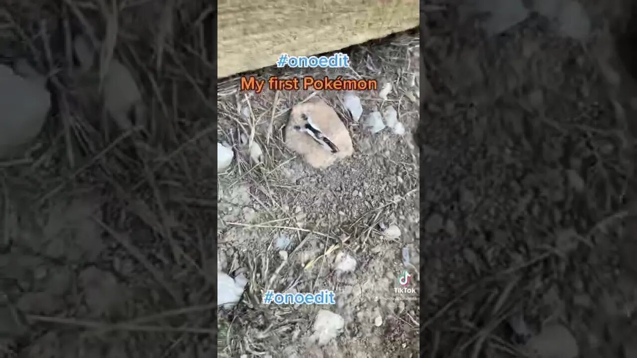 My first Pokémon Onoedit