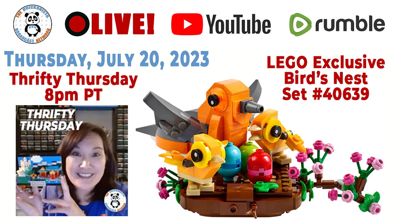 Thrifty Thursday - Bird's Nest - Set #40639