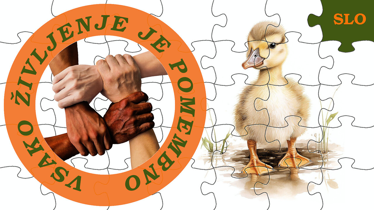 Vsako življenje je pomembno