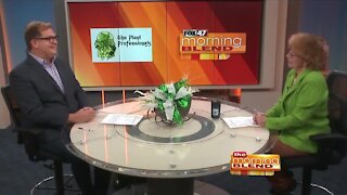 The Plant Professionals - 11/4/21