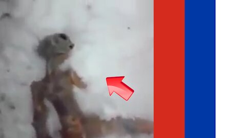 Gray man seen at the crash site in the snowfields of Siberia Russia [Space]