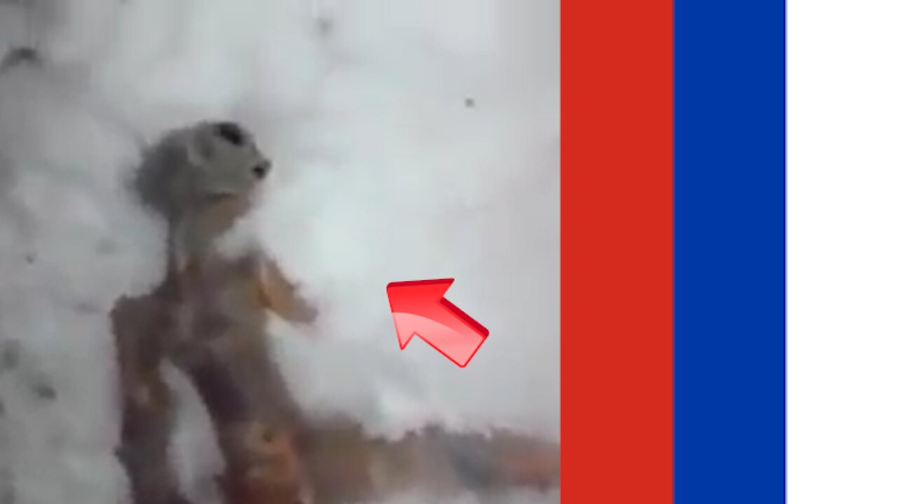 Gray man seen at the crash site in the snowfields of Siberia Russia [Space]