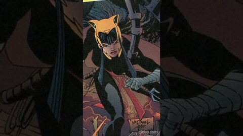 La Historia De Catsai - Elektra Kyle #shorts #marvel #comics #amalgam #catsai #elektra #celinakyle