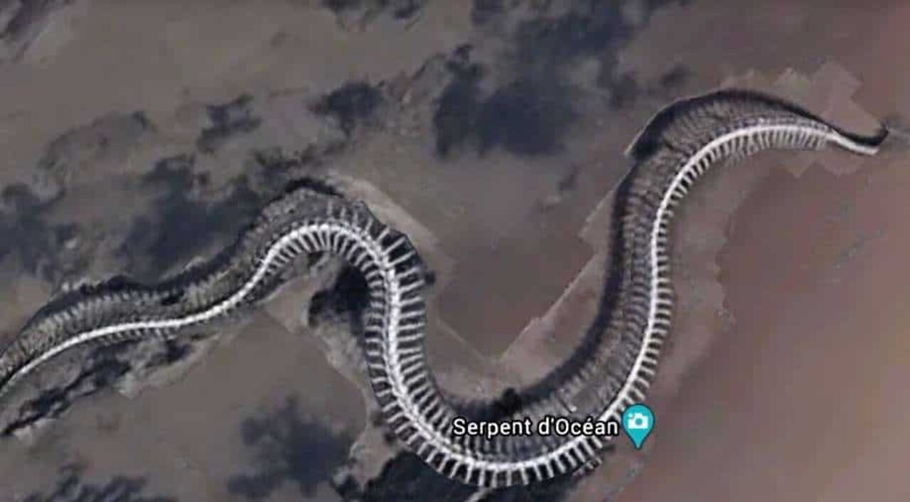 Giant ‘snake skeleton’ discovered on Google Maps, buzz on Titanoboa rife; but there’s a catch