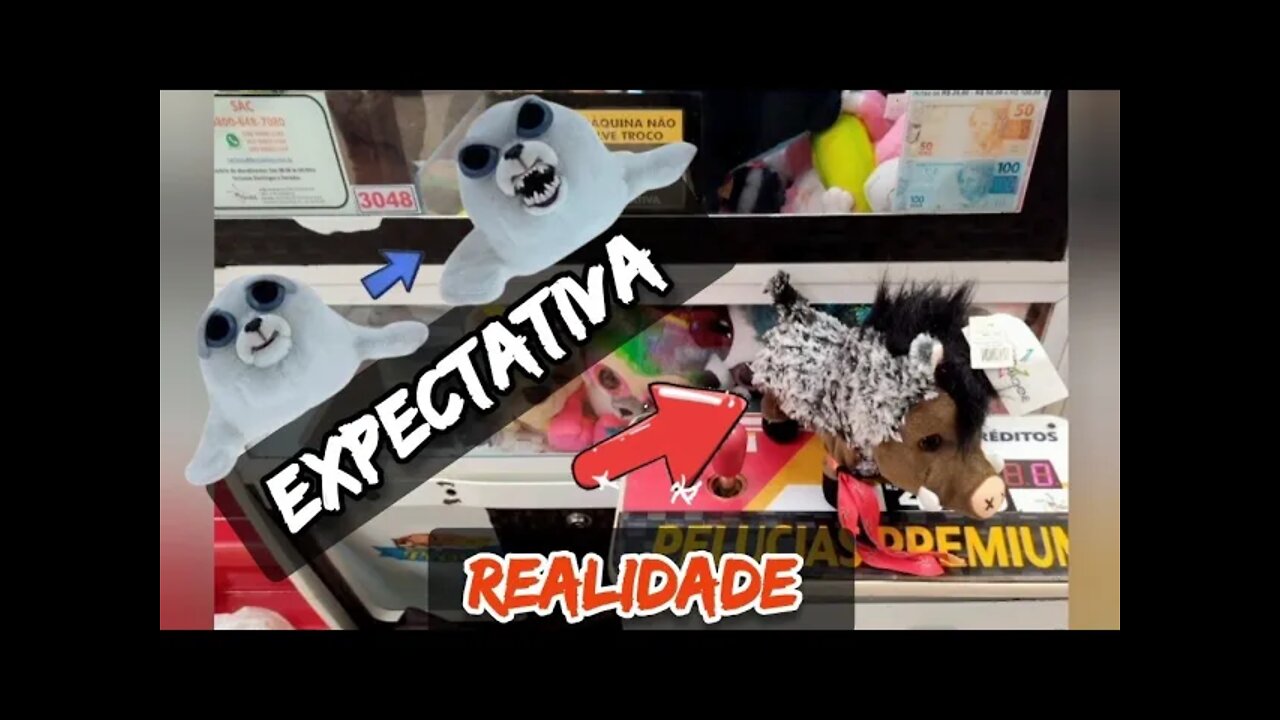 QUERIA O FEISTY PETS FOCA E PEGUEI O????