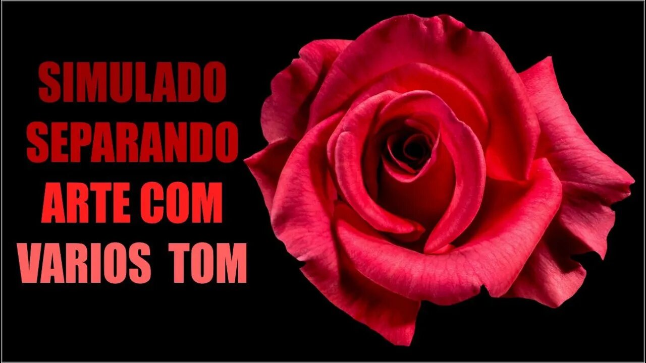 SIMULADO PARA SERIGRAFIA SEPARANDO UMA FLOR ROSA