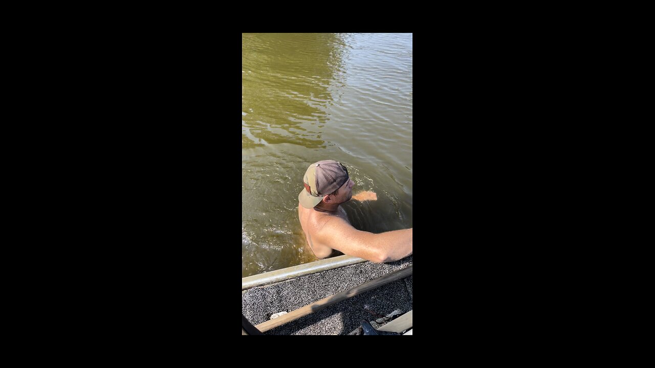 1809 cypress log