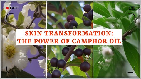 Skin Transformation: The Power of Camphor Oil: How to Use Camphor Oil for Skin Benefits