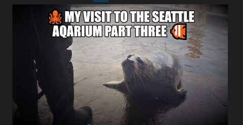 MY VISIT TO THE SEATTLE AQARIUM PART THREE