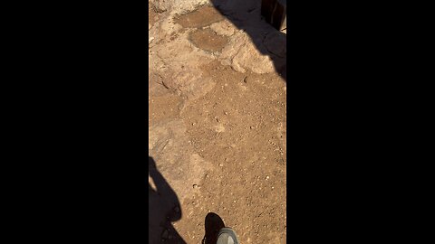 Hike in Zion