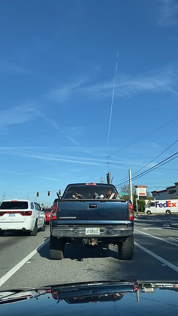 "CHEM TRAILS" Spewing out FAUCI BIO WEAPON