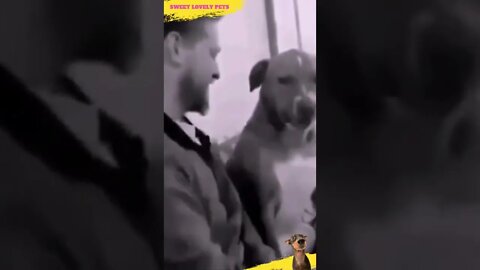 😃 Funny and Crazy Beating Pets 🐶 #Shorts