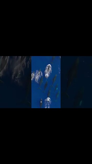 👀👀❤️❤️