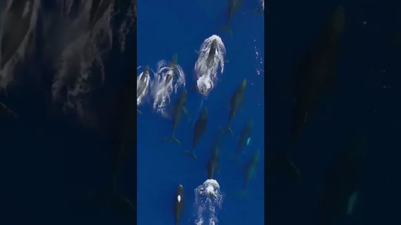 👀👀❤️❤️