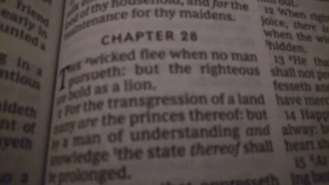 Proverbs 28:1 KJV (take 1)