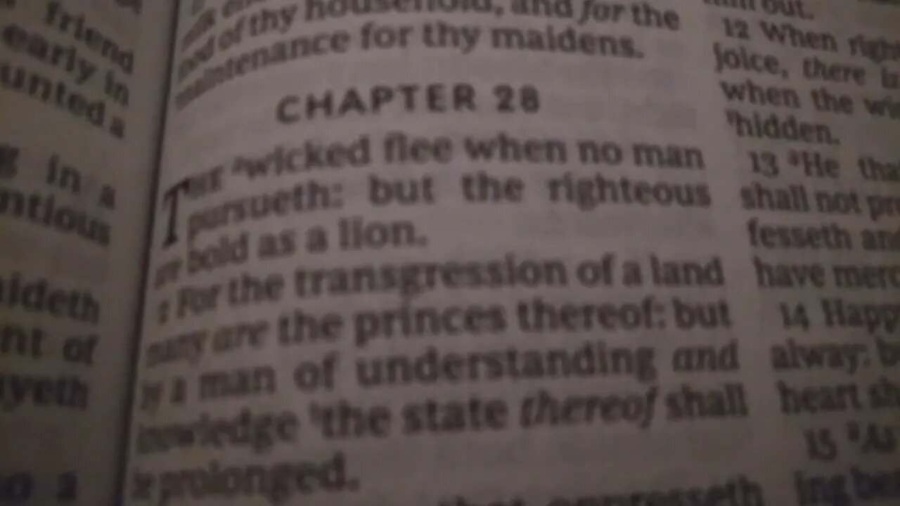 Proverbs 28:1 KJV (take 1)