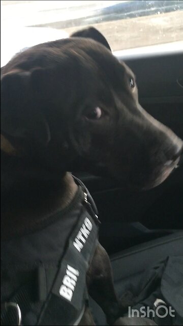 On the Road again with one of my best friends Baker