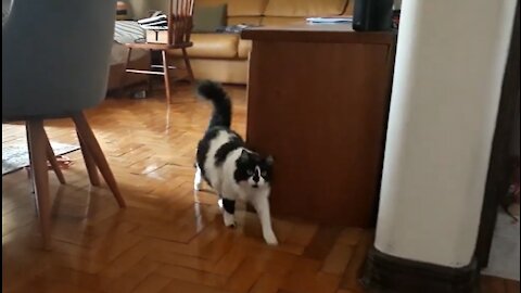 Jazz can't wait for her grandma to come back!