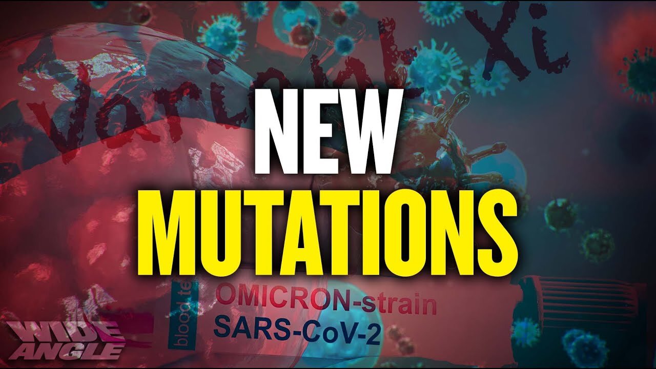 WHO: Omicron Could Trigger Global Pandemic Surge; Will Existing Immunity Work Against Omicron?