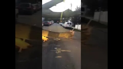 It Ain't That Bad #shorts #dashcams #accident