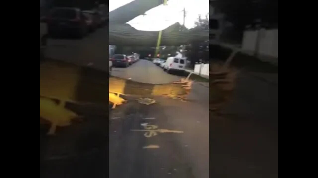 It Ain't That Bad #shorts #dashcams #accident